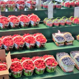 La fête des récoltes