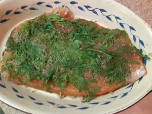 filet de saumon recouvert du mélange sel, cassonade, poivre et aneth